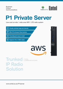 Entel P1 Private Server Brochure